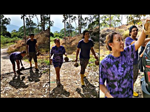 Shiera || Mengutip Durian Di Kebun Nabil 😄 😄