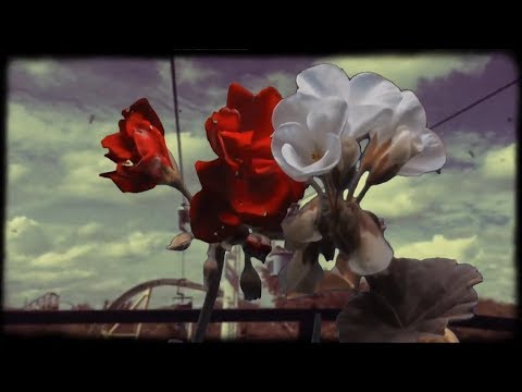 in madness lies sanity