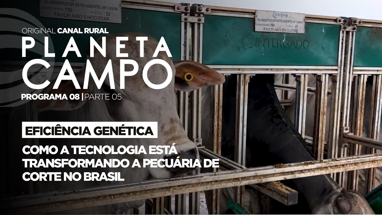 Como a tecnologia está transformando a pecuária de corte no Brasil | Planeta Campo - ep.8 parte 5