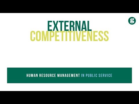 Human Resource Management in Public Service