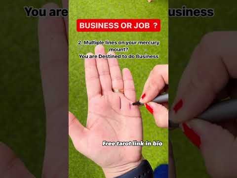 Job or Business?