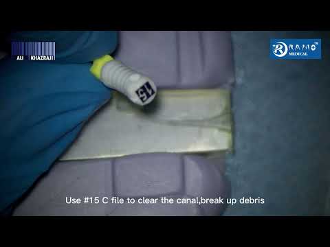 RCS Rainbow One File