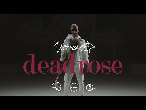 Unprocessed - deadrose (Official Music Video)