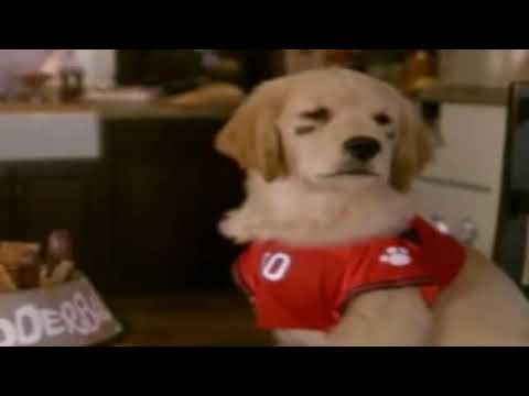 B-Dawg the Magnificent Part 4 - B.Dawg and Budderball's Conversation