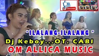 Download lagu // Rombongan Dj - Kemoy... OT CABI ' Ilalang -Ilalang//OM ALLICA MUSIC// mp3 Download lagu // Rombongan Dj - Kemoy... OT CABI ' Ilalang -Ilalang//OM ALLICA MUSIC// mp3