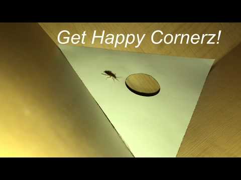 Amazing New Sticky Traps! Watch this Spider and Roach Enter The Happy Cornerz Glue Traps