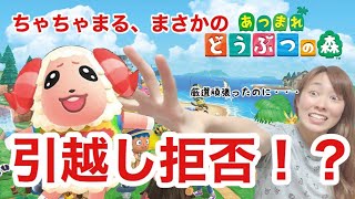 【あつまれどうぶつの森】引越し拒否！？ちゃちゃまる決死のスカウト！！【住民厳選】