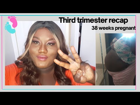 Pregnancy Update Week 27 to 38