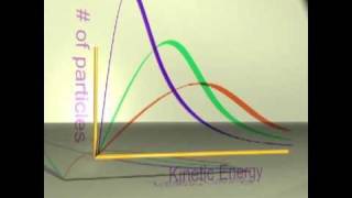 6.1 Sketch and Explain the Maxwell-Boltzmann Energy Distribution Curve [SL IB Chemistry]