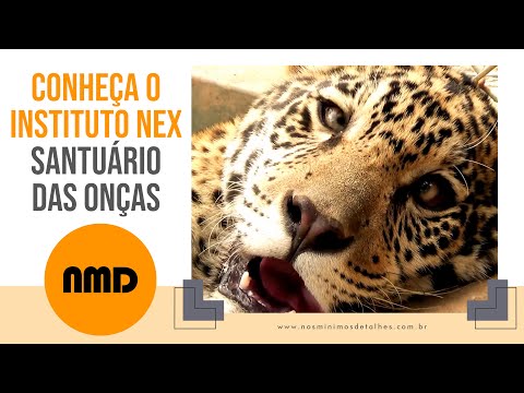 Capa do vídeo 06 do canal NMD – Nos Mínimos Detalhes