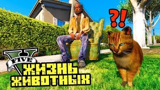 БОМЖ МОЙ НОВЫЙ ХОЗЯИН?! ЖИЗНЬ ЖИВОТНЫХ В GTA 5. Серия 4