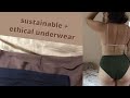 favorites: sustainable + ethical underwear