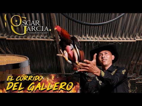 EL CORRIDO DEL GALLERO   OSCAR GARCIA