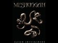 Meshuggah - Disenchantment (﴾Ƨlow﴿)