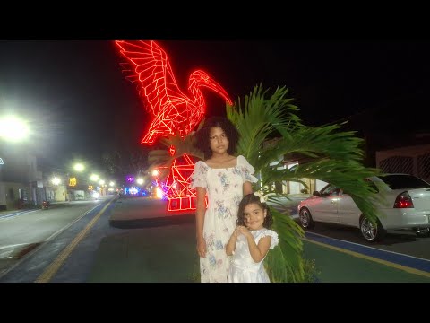 Decoração _ Avenida Castelo Branco Porto Rico Do Maranhao 