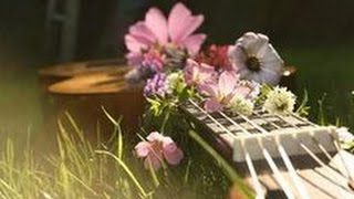 🌸Twin Forks🌸Who&#39;s Looking Out🌸