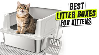 3 BEST Litter Box for Kittens
