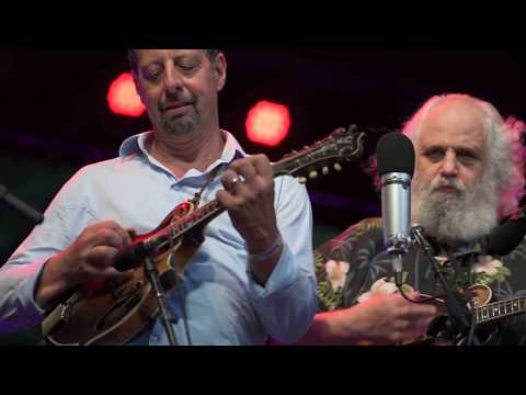 David Grisman Quintet | Minor Swing | RockyGrass | gratefulweb.com