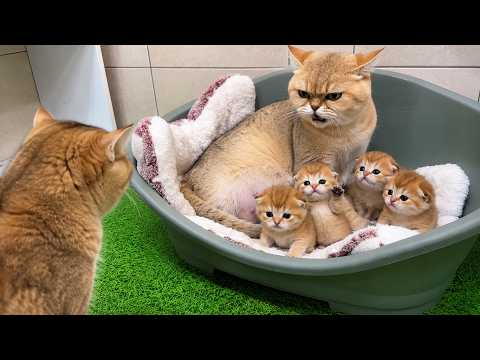 YouTube 썸네일