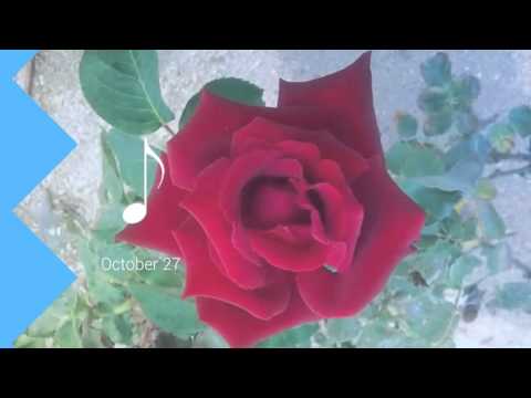 Happy Birthday Jaheim J Bailon