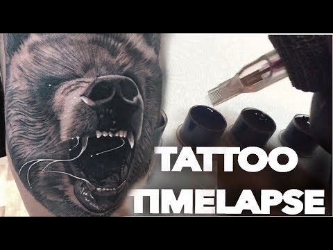 download lagu mp3 mp4 Grizzly Tattoo, download lagu Grizzly Tattoo gratis, unduh video klip Grizzly Tattoo