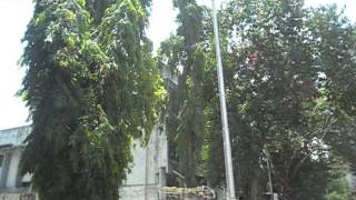 US Open Apartment Match Point