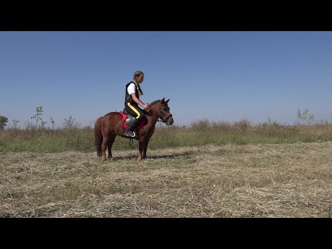 Vajdasági Futam – kishuszár Tóthfalu