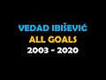 VEDAD IBIŠEVIĆ - ALL GOALS 2003 -2020 (Year By Year) / Golovi Ibiševića po godinama