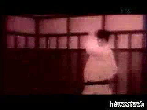 mas oyama y bruce lee