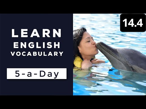 Learn English Vocabulary Daily 36 3 — British English Podcast