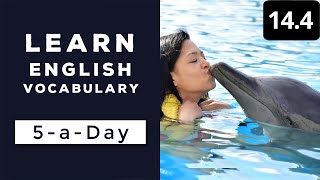 Learn English Vocabulary Daily #14.4 — British English Podcast