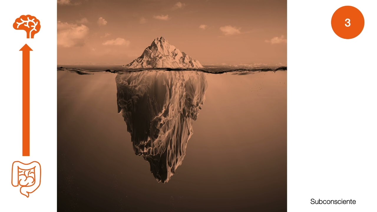 La microbiota intestinal - Visión general