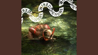 Wired To Ignore - The Fake, Rotten System of the West video