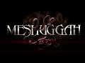 MESHUGGAH - DISENCHANTMENT