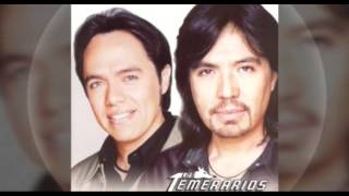 Derrepente llegaste a mi vida los temerarios