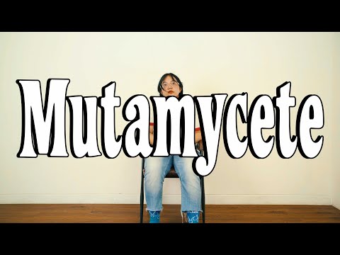 Sunwich - Mutamycete (Official Lyric Video)