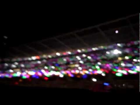 Xylobands in Charlie Brown (24/05/2012 Coldplay live @ Torino)