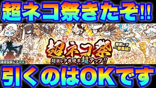 超ネコ祭ガチャきたぞ！月初の新着情報も合わせて解説！　#にゃんこ大戦争　【オレンジチャンネル】