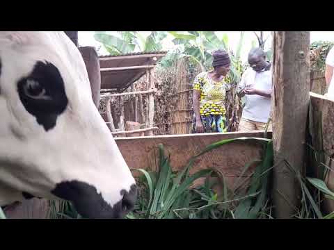 Selecta Coffee Fund Rwanda Program