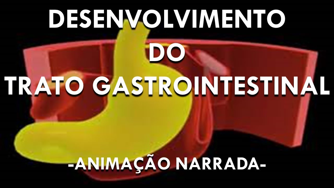 DESENVOLVIMENTO DO TRATO GASTROINTESTINAL - EMBRIOLOGIA DO SISTEMA DISGETÓRIO. Animação Narrada.