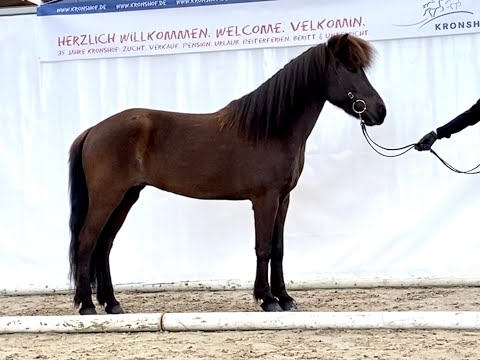 FIZO Kronshof 2020: Nótt vom Kronshof