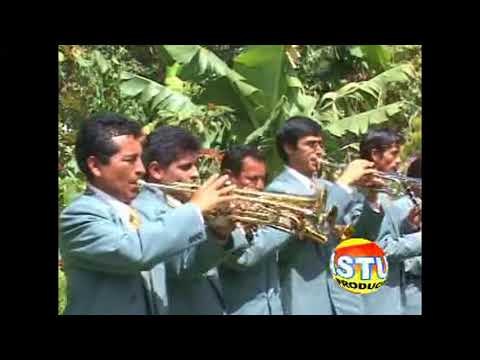 Taki/Banda Real - Rapsonia kotosh