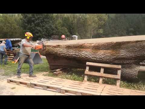 stihl ms880 alaskan chainsawmilling  monster ash    stihl ms880 alaskan kettensägewerk  xxxl esche
