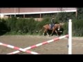 Peppa 2010 Wmv