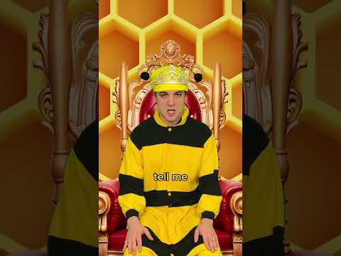 Bee betrays the whole hive #comedy #music #parody of #pleasepleaseplease by #sabrinacarpenter