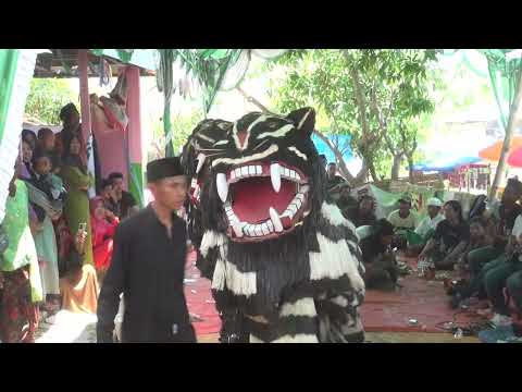 Aksi Macan Macanan || Bersama Hadrah Bunga Idaman