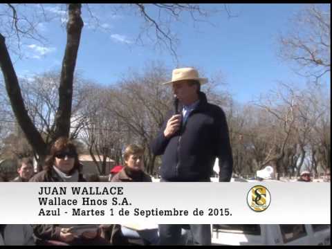01-09-15 Juan Wallace- Aniversario 38º - Wallace Hnos - Azul