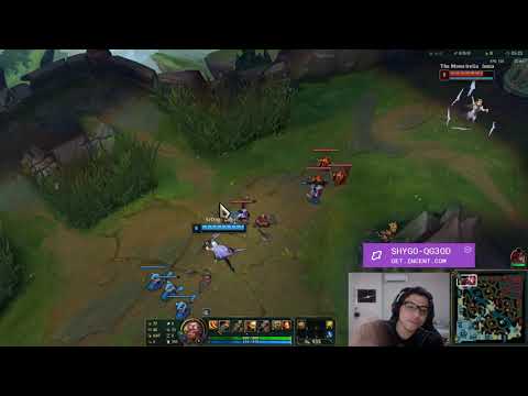 SR.DOG VS THE MONO IRELIA - 8º DE FINAIS