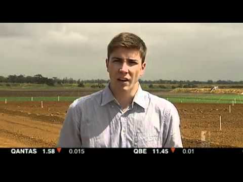 Cortes de preço da Coles alarmam produtores de frutas e vegetais