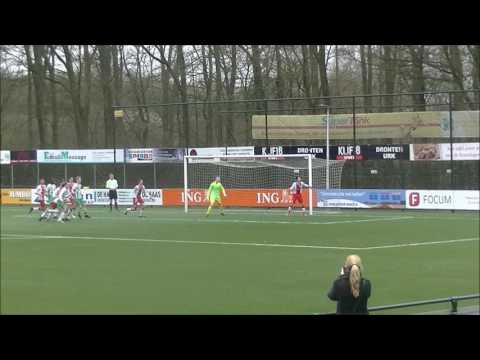 asvDronten JO17 1  IJsselmeervogels JO17 1